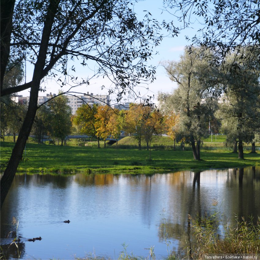 А из моего окна осень яркая видна (фото 9)