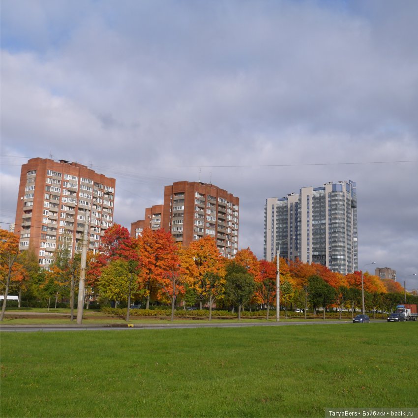 А из моего окна осень яркая видна (фото 4)