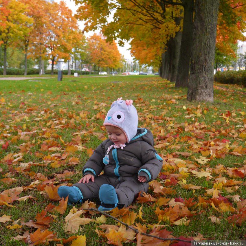 А из моего окна осень яркая видна