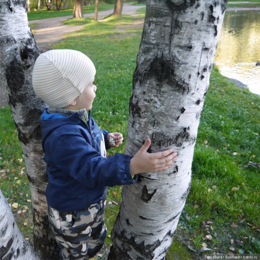 А из моего окна осень яркая видна