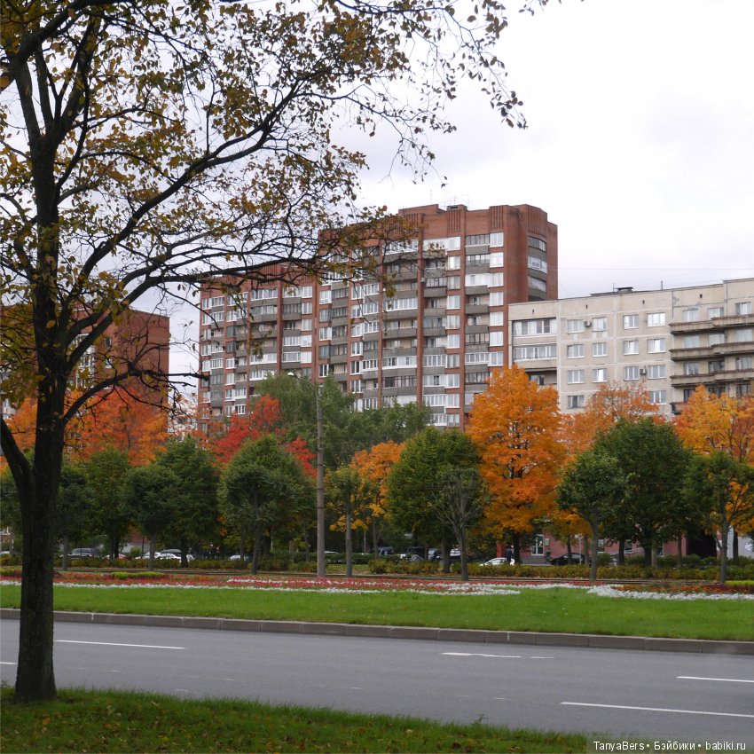 А из моего окна осень яркая видна (фото 6)