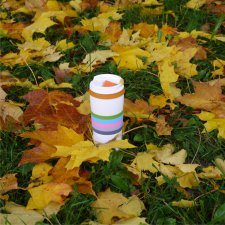 А из моего окна осень яркая видна.