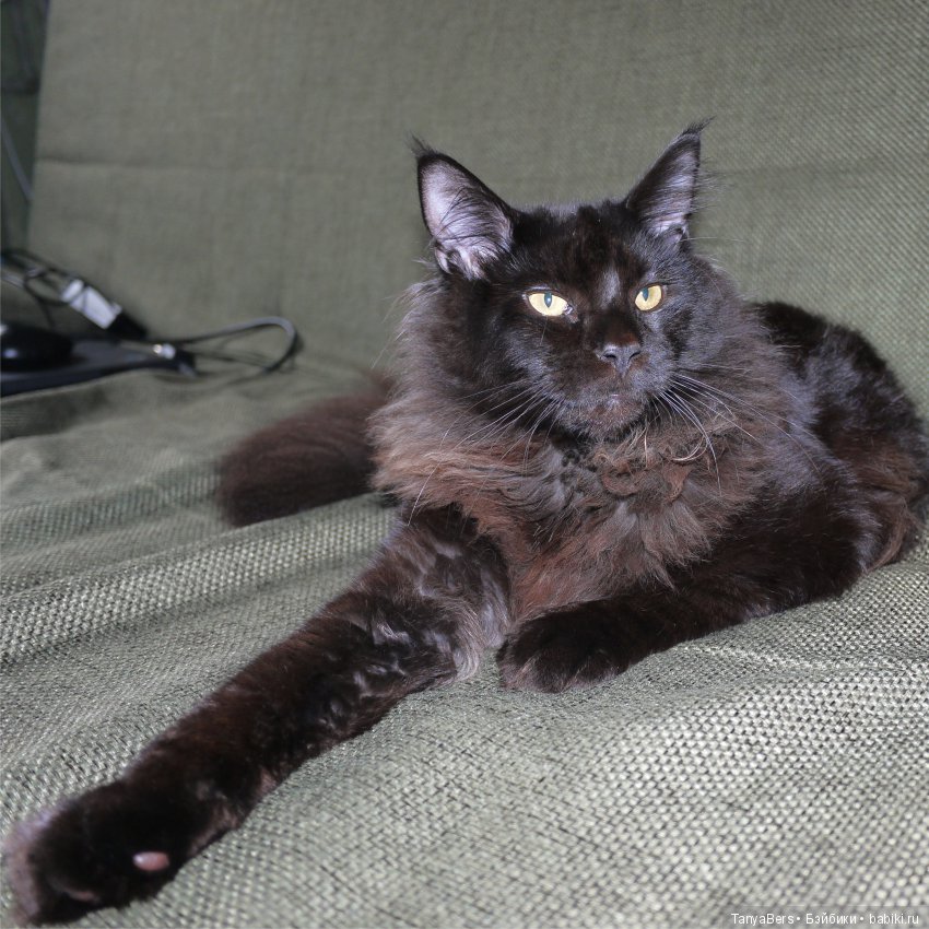 У каждого свой ангел... Моя особенная кукла