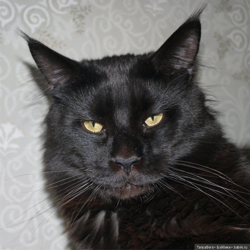 У каждого свой ангел... Моя особенная кукла