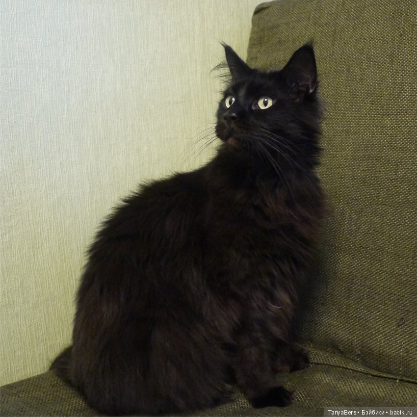 У каждого свой ангел... Моя особенная кукла