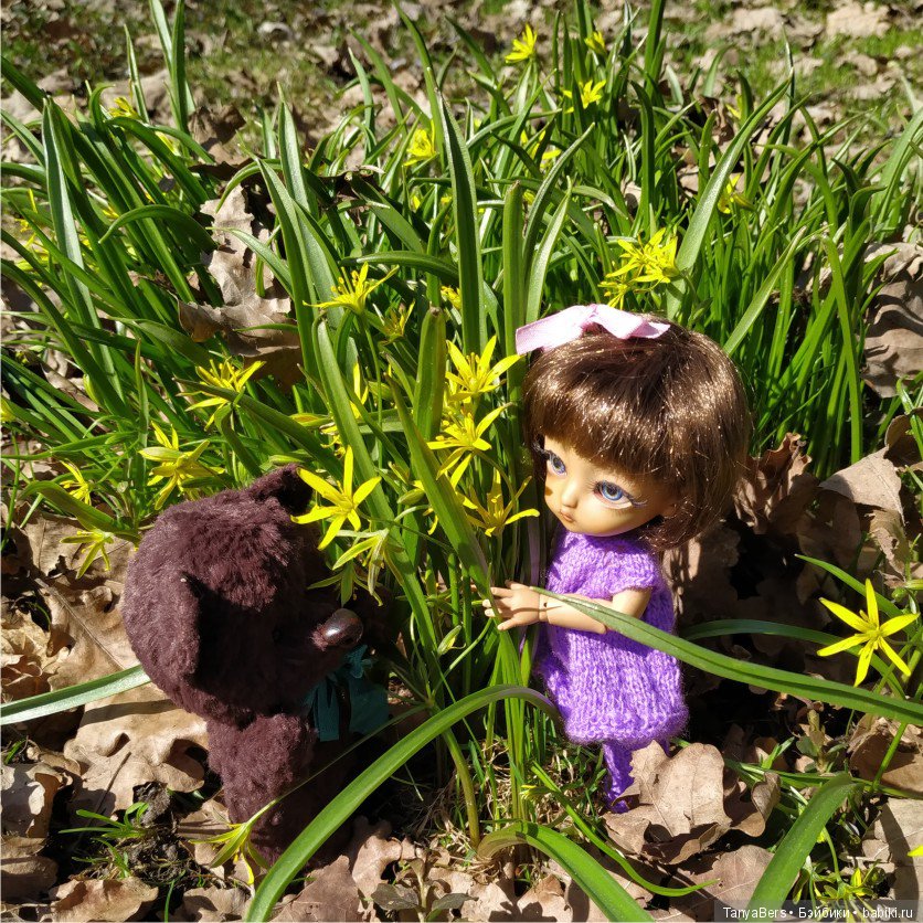 Котька и медведь в поисках весны