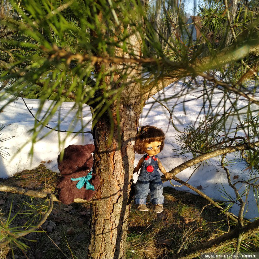 Котька и медведь в поисках весны