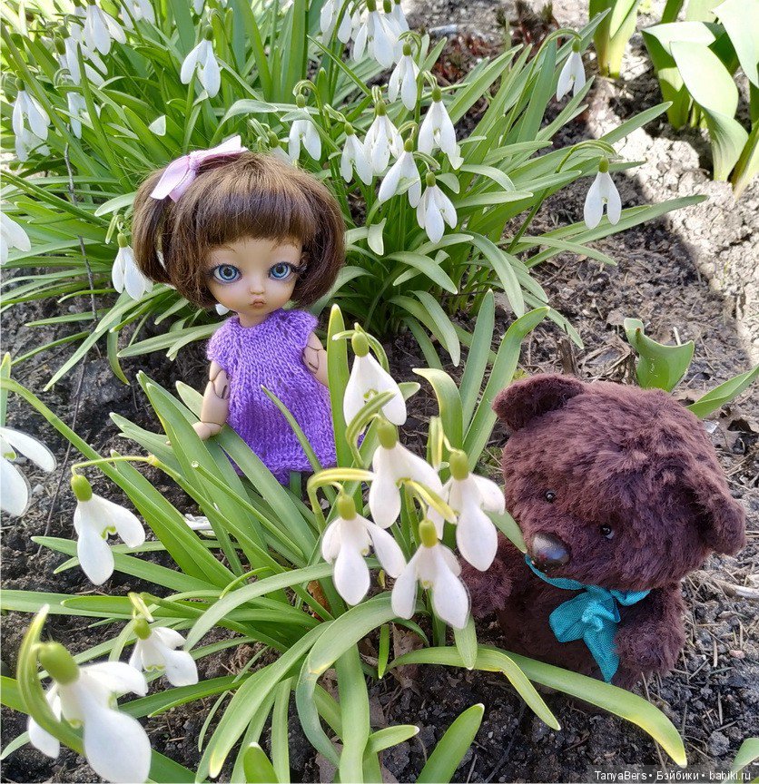 Котька и медведь в поисках весны