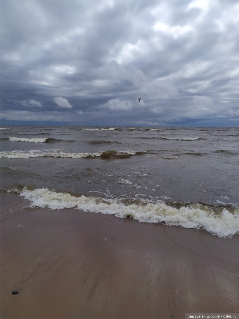 Цверг и море — Игровые куклы Zwergnase (Цвергназе) Junior: Джуниор (фото 4)