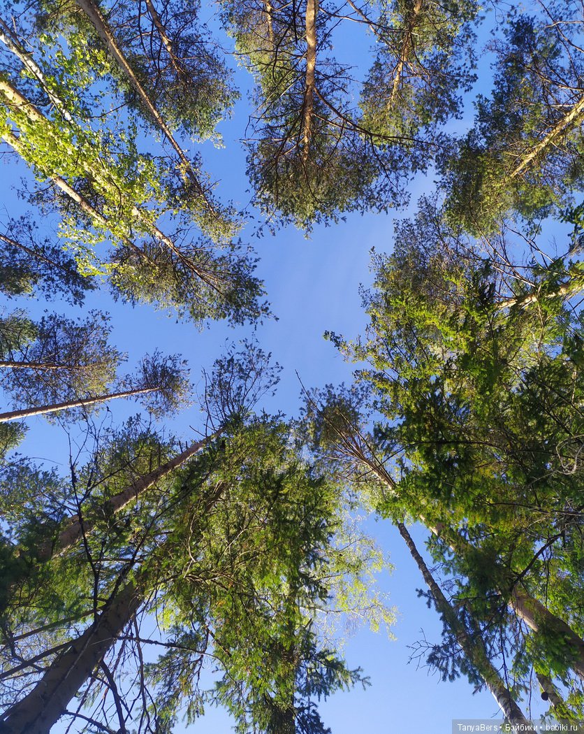 Пусть уходит грусть — Куклы Zwergnase (Цвергназе/Цверги): фото (фото 3)