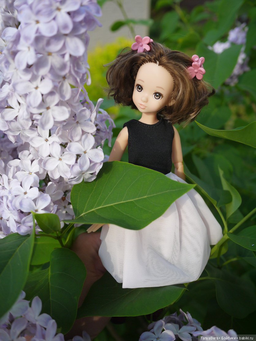 С ДНЁМ РОЖДЕНИЯ, ОЛЯ — Домашние коллекции кукол: фото собраний