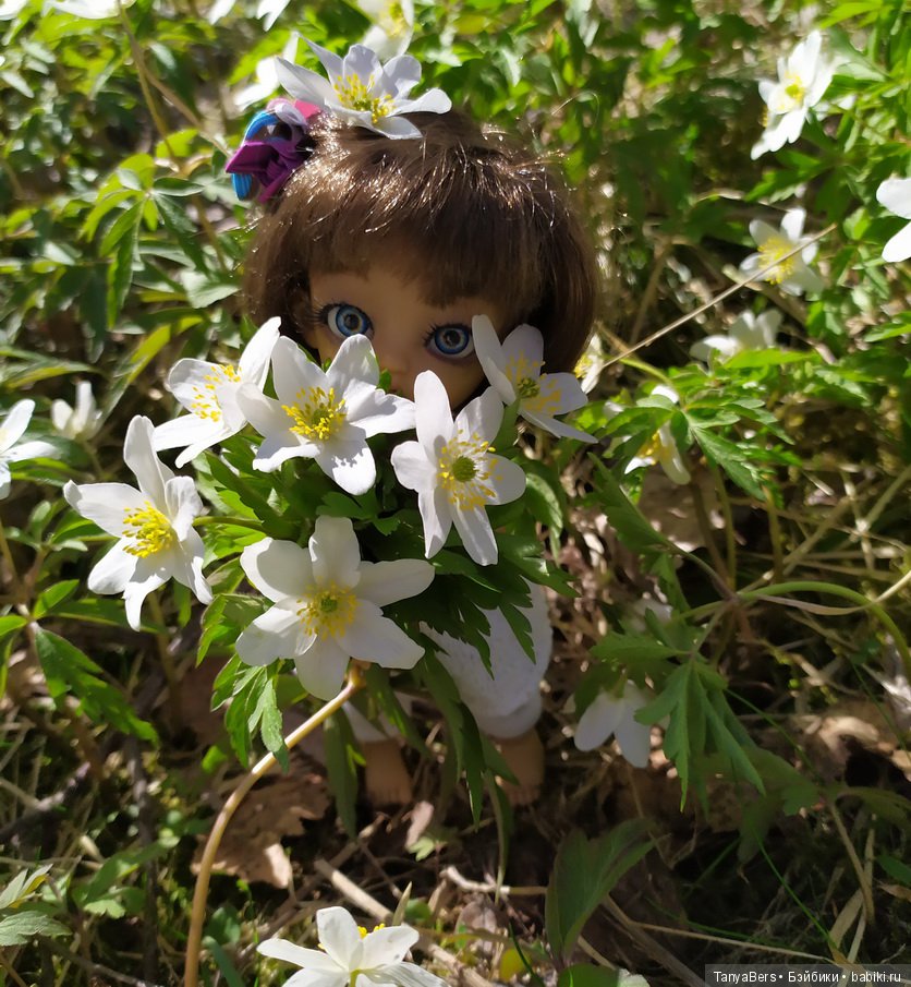 С ДНЁМ РОЖДЕНИЯ, ОЛЯ — Домашние коллекции кукол: фото собраний (фото 10)