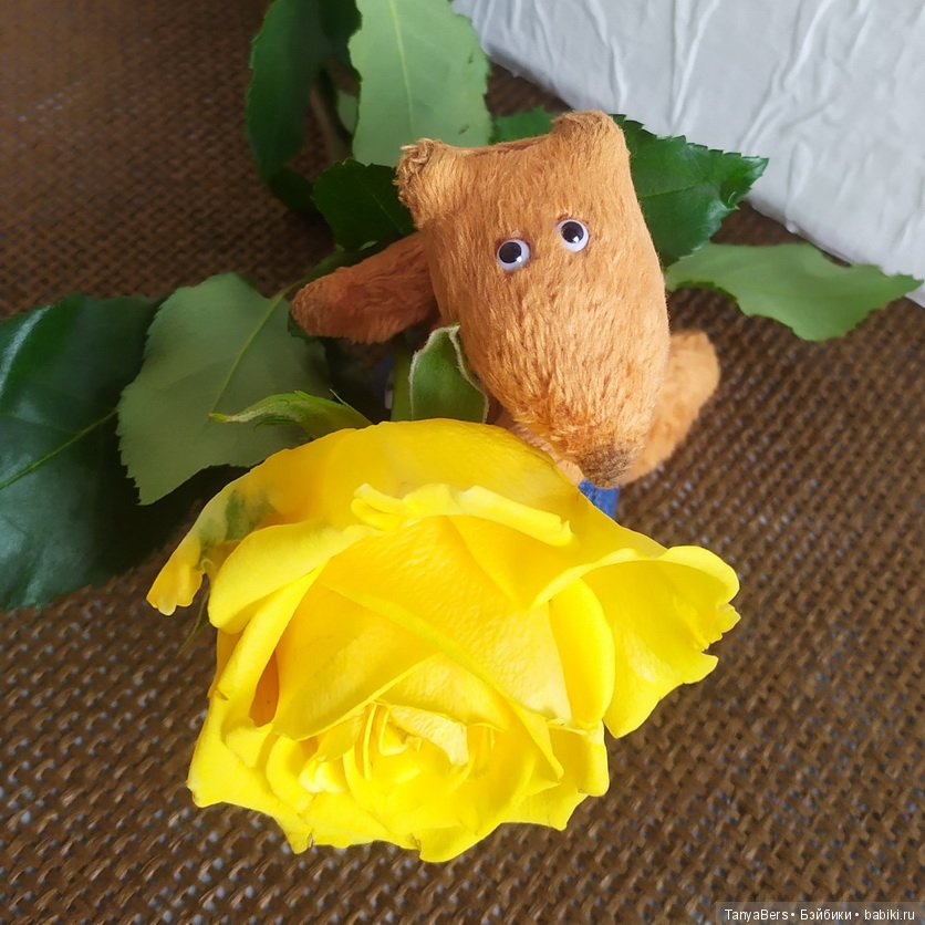 С ДНЁМ РОЖДЕНИЯ, ОЛЯ — Домашние коллекции кукол: фото собраний (фото 8)