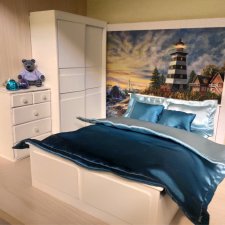 Первая мебель