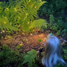 Как Цверги клад искали