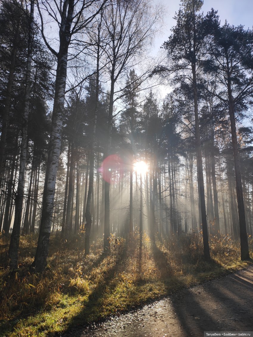 Туманное начало ноября — Игровые куклы Zwergnase (Цвергназе) Junior: Джуниор