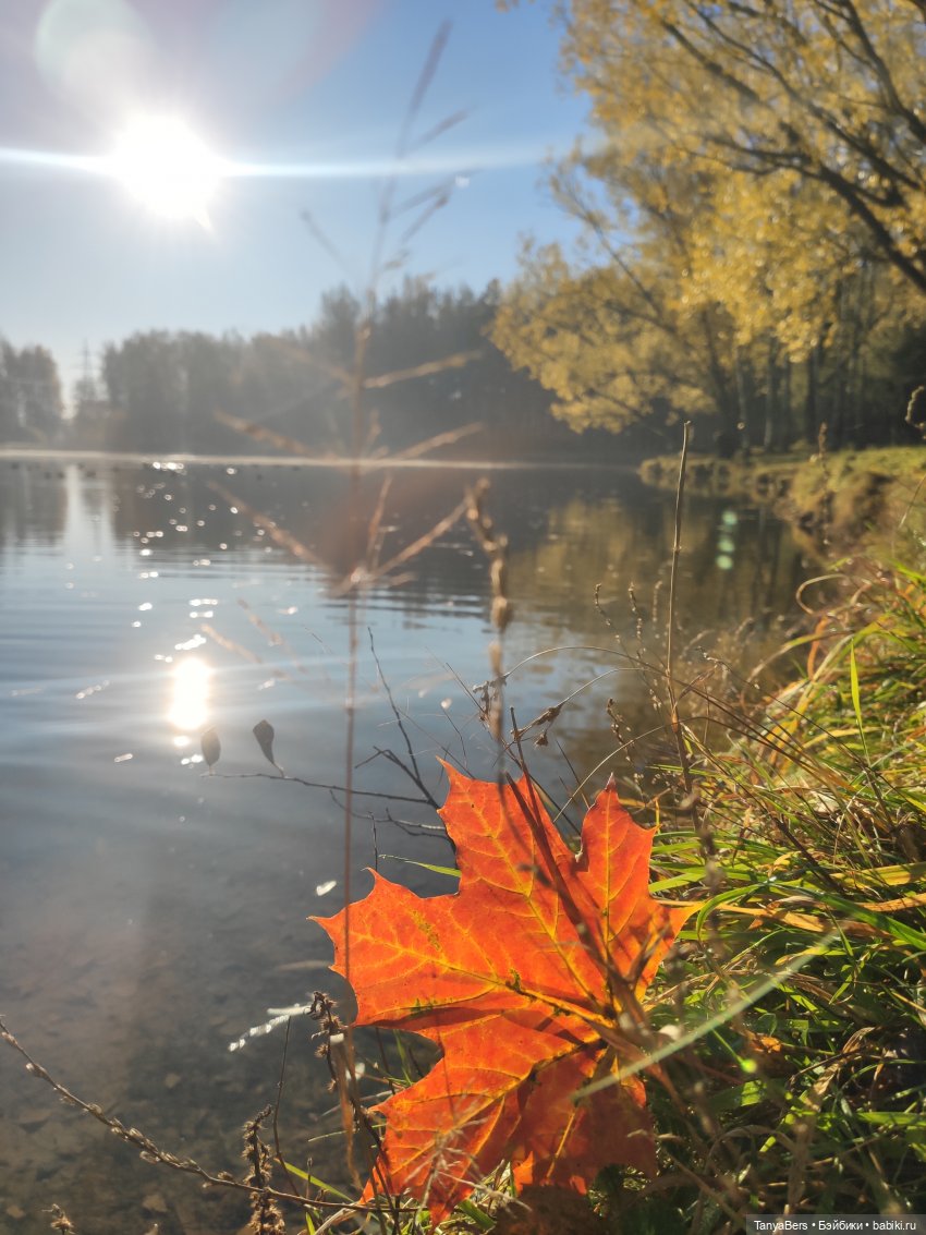 Туманное начало ноября — Игровые куклы Zwergnase (Цвергназе) Junior: Джуниор (фото 10)