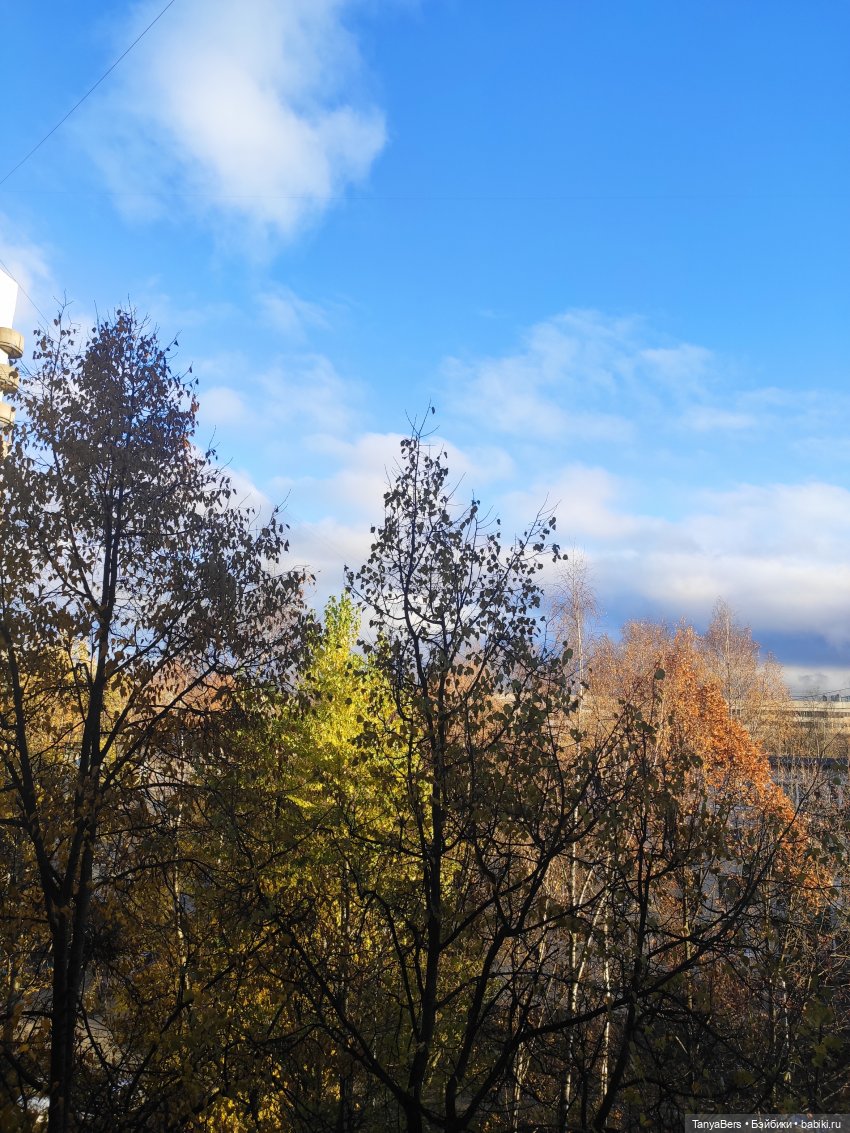 Туманное начало ноября — Игровые куклы Zwergnase (Цвергназе) Junior: Джуниор (фото 6)