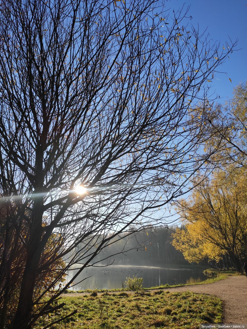 Туманное начало ноября — Игровые куклы Zwergnase (Цвергназе) Junior: Джуниор (фото 9)