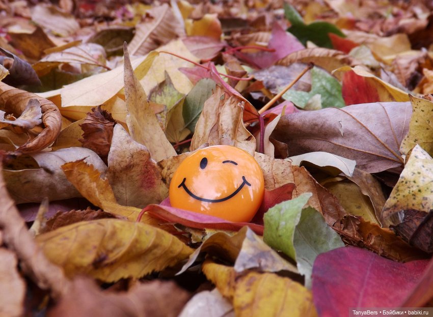 Туманное начало ноября — Игровые куклы Zwergnase (Цвергназе) Junior: Джуниор