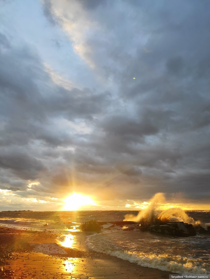 Ловец волн — Куклы Barbie (Барби): Looks