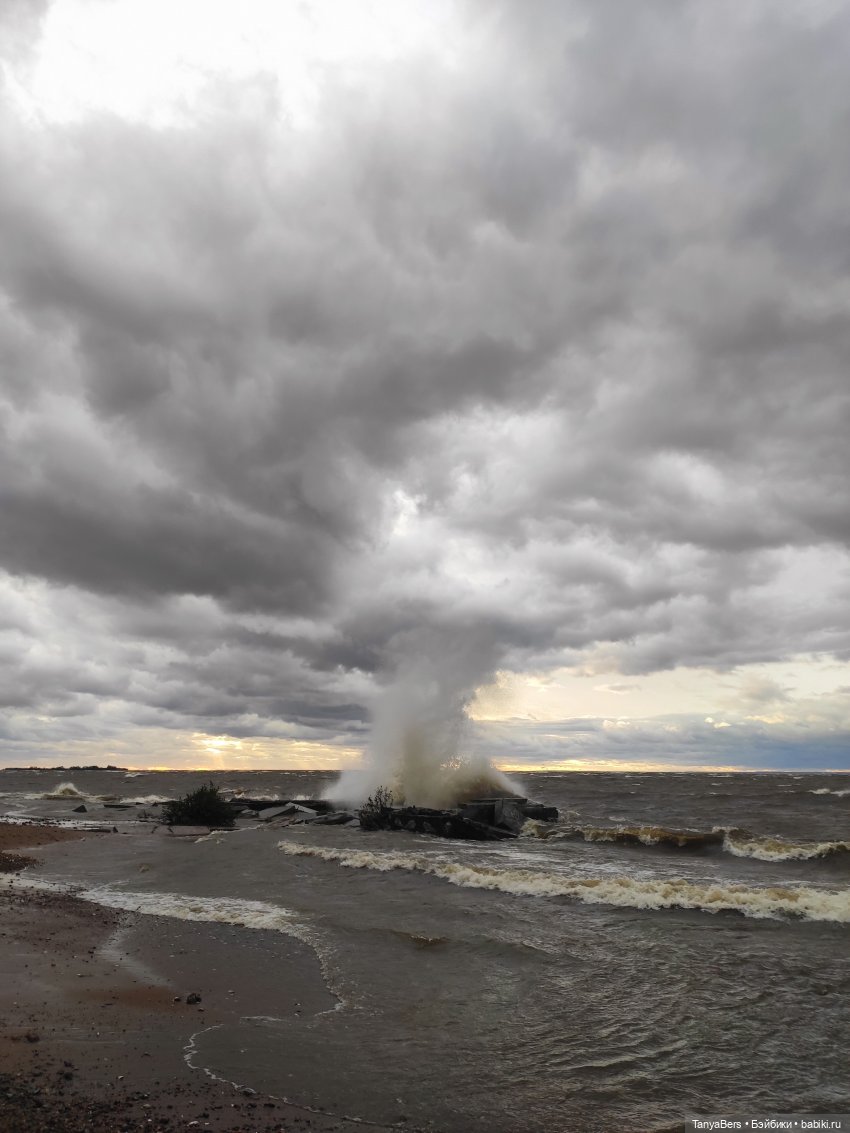 Ловец волн — Куклы Barbie (Барби): Looks