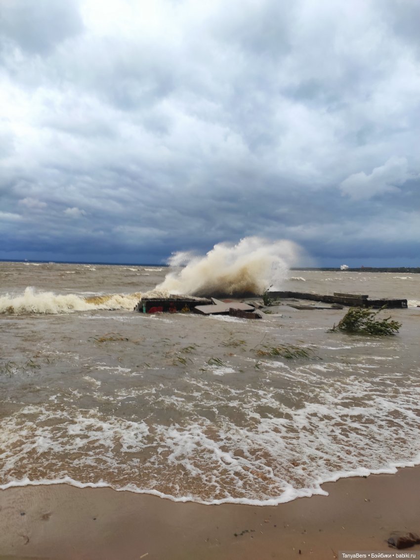 Ловец волн — Куклы Barbie (Барби): Looks