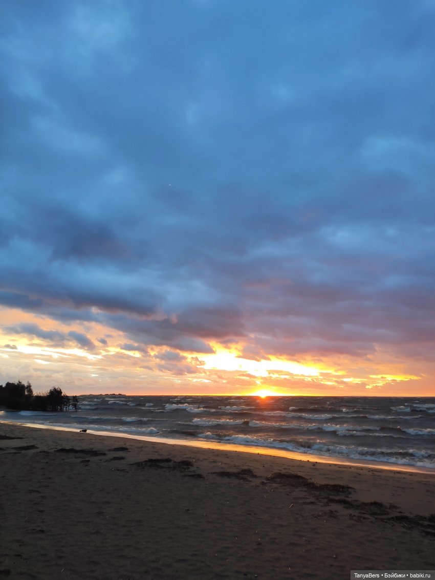 Ловец волн — Куклы Barbie (Барби): Looks