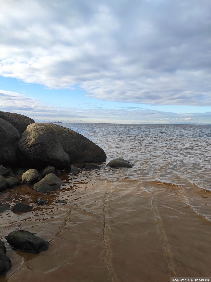 Ловец волн — Куклы Barbie (Барби): Looks (фото 5)