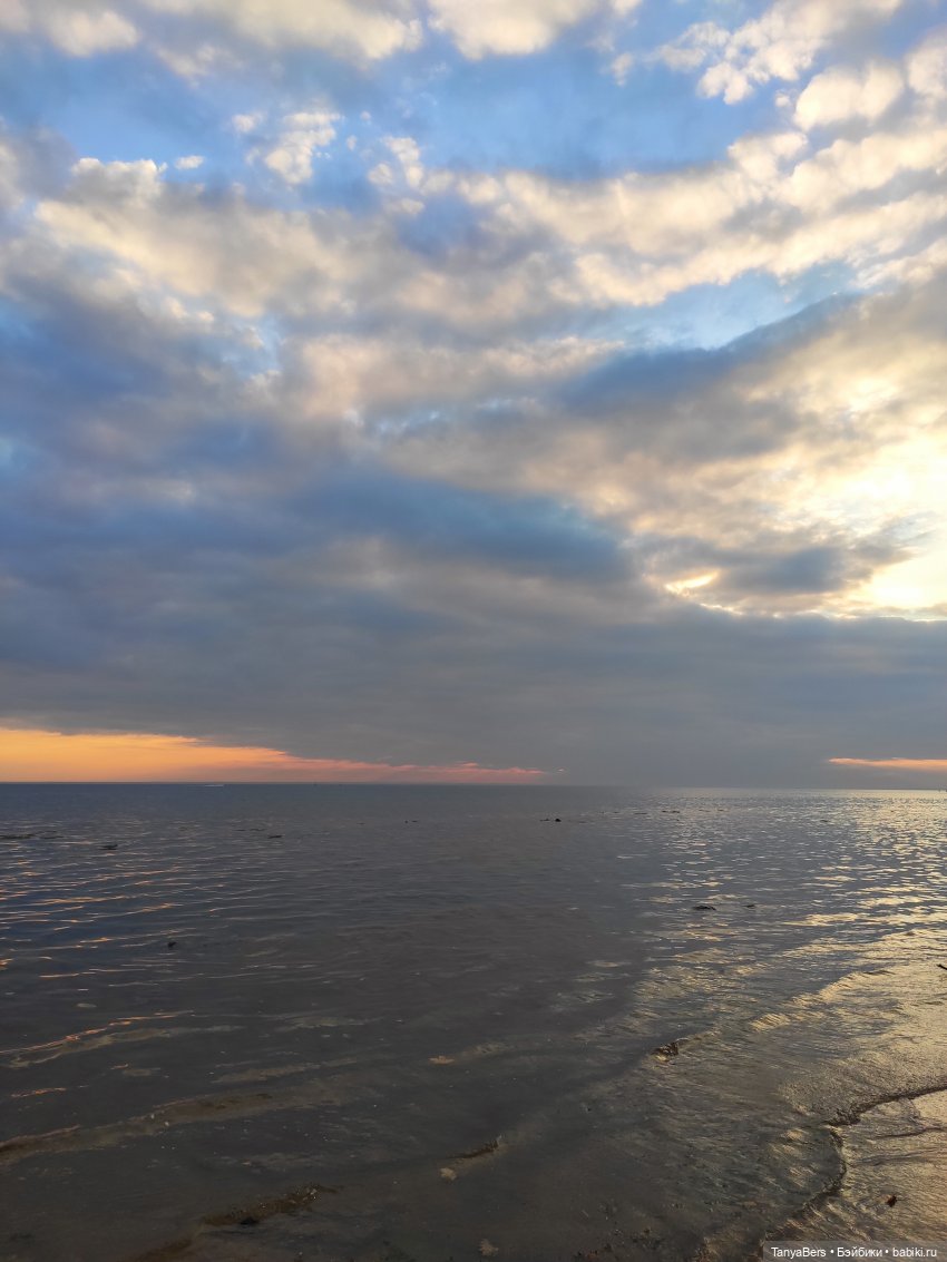 Ловец волн — Куклы Barbie (Барби): Looks (фото 8)