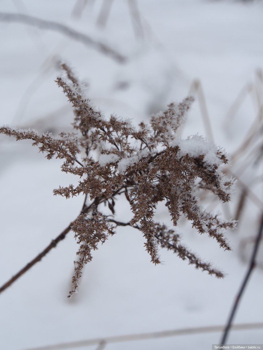 Этот мир придумали мы сами | Бэйбики Этот мир придумали мы сами (фото 5)