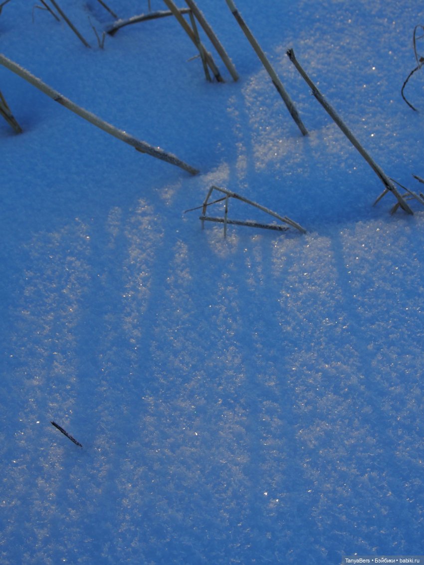 Этот мир придумали мы сами | Бэйбики Этот мир придумали мы сами (фото 4)