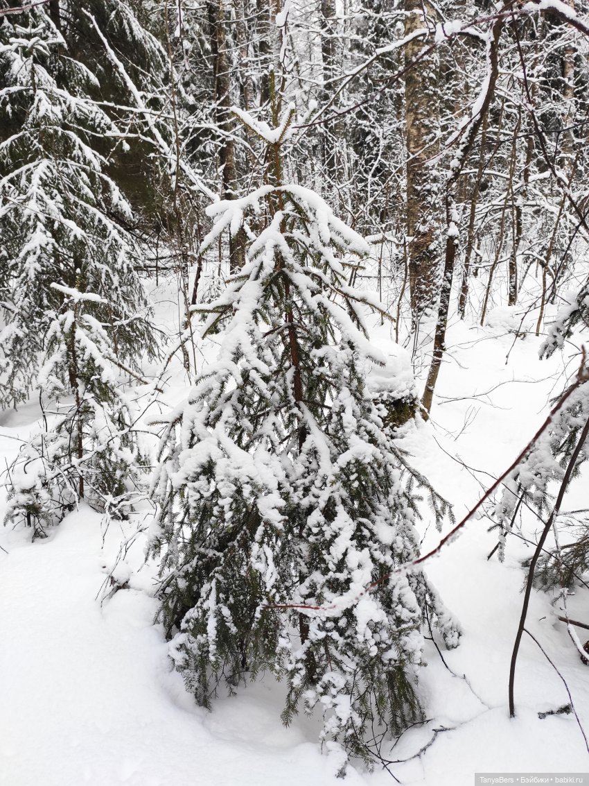 Этот мир придумали мы сами | Бэйбики Этот мир придумали мы сами (фото 7)
