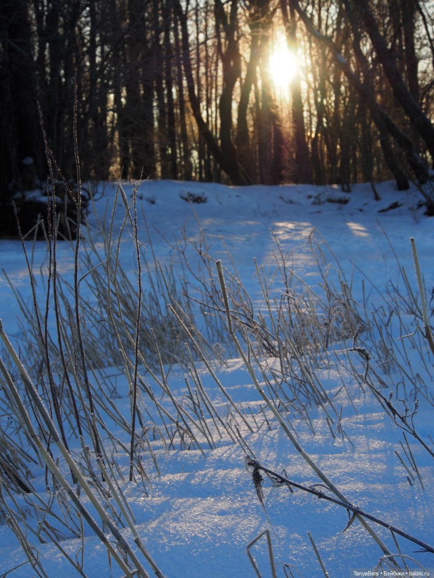Этот мир придумали мы сами | Бэйбики Этот мир придумали мы сами