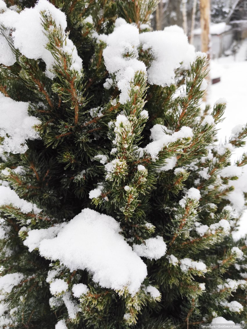 Этот мир придумали мы сами | Бэйбики Этот мир придумали мы сами (фото 6)