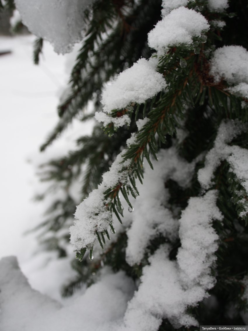 Этот мир придумали мы сами | Бэйбики Этот мир придумали мы сами (фото 9)