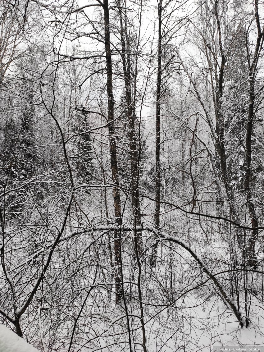 Этот мир придумали мы сами | Бэйбики Этот мир придумали мы сами