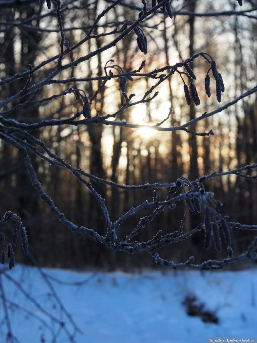 Этот мир придумали мы сами | Бэйбики Этот мир придумали мы сами