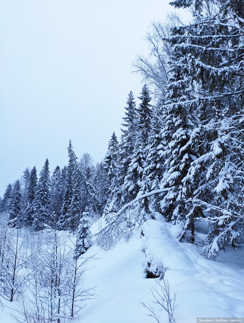 Цверги в зиме. Трилогия — Игровые куклы Zwergnase (Цвергназе) Junior: Джуниор