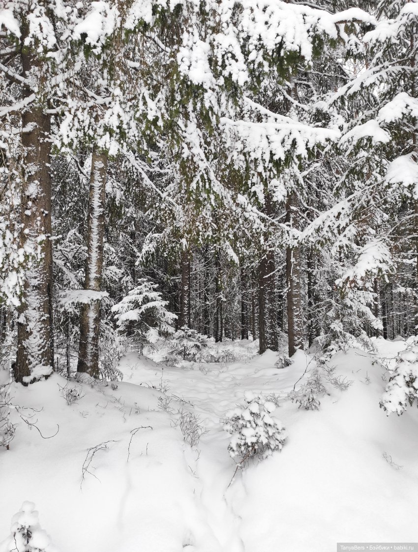 Цверги в зиме. Трилогия — Игровые куклы Zwergnase (Цвергназе) Junior: Джуниор