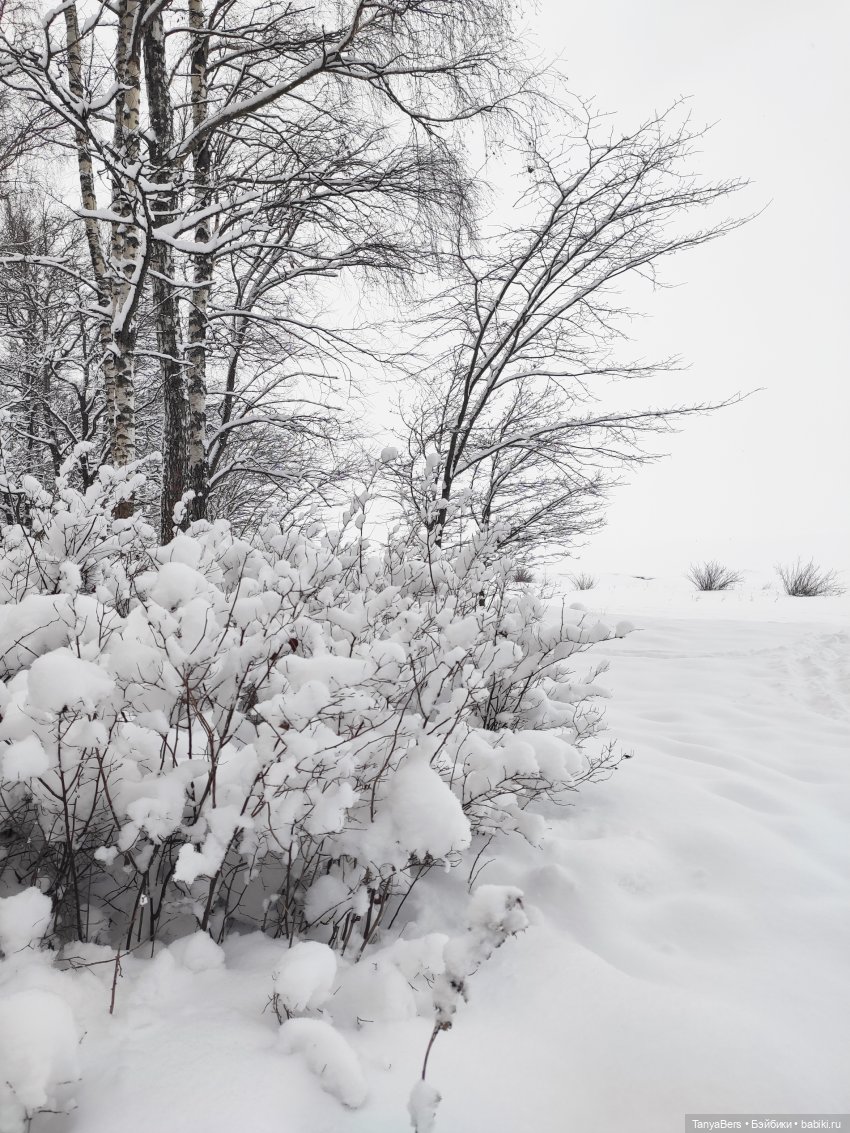 Цверги в зиме. Трилогия — Игровые куклы Zwergnase (Цвергназе) Junior: Джуниор