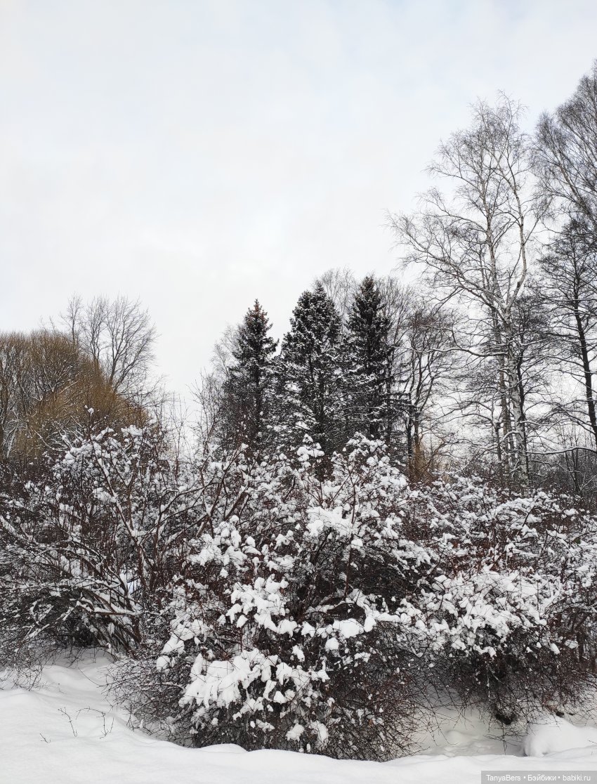 Цверги в зиме. Трилогия — Игровые куклы Zwergnase (Цвергназе) Junior: Джуниор