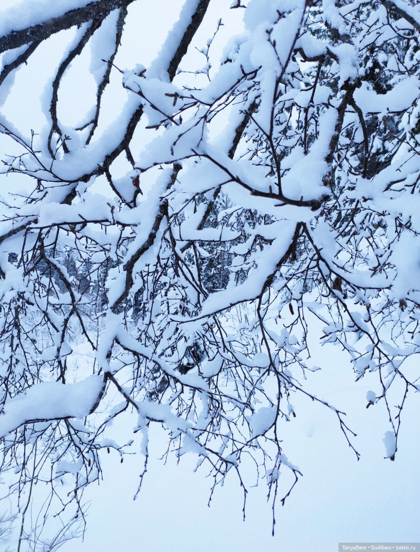 Цверги в зиме. Трилогия — Игровые куклы Zwergnase (Цвергназе) Junior: Джуниор (фото 8)