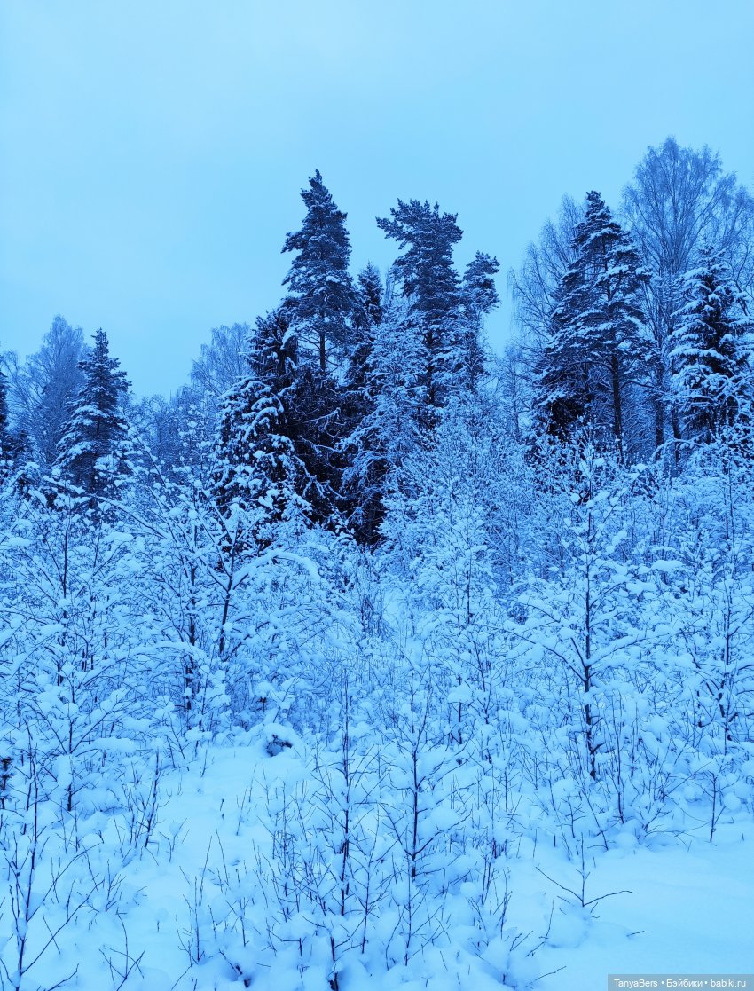 Цверги в зиме. Трилогия — Игровые куклы Zwergnase (Цвергназе) Junior: Джуниор