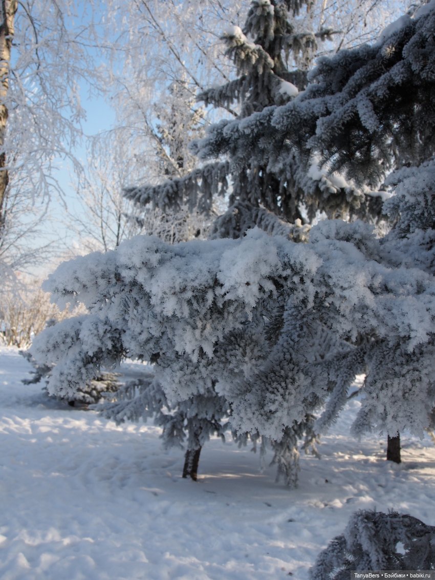Пламя среди морозной стужи | Бэйбики Пламя среди морозной стужи (фото 4)