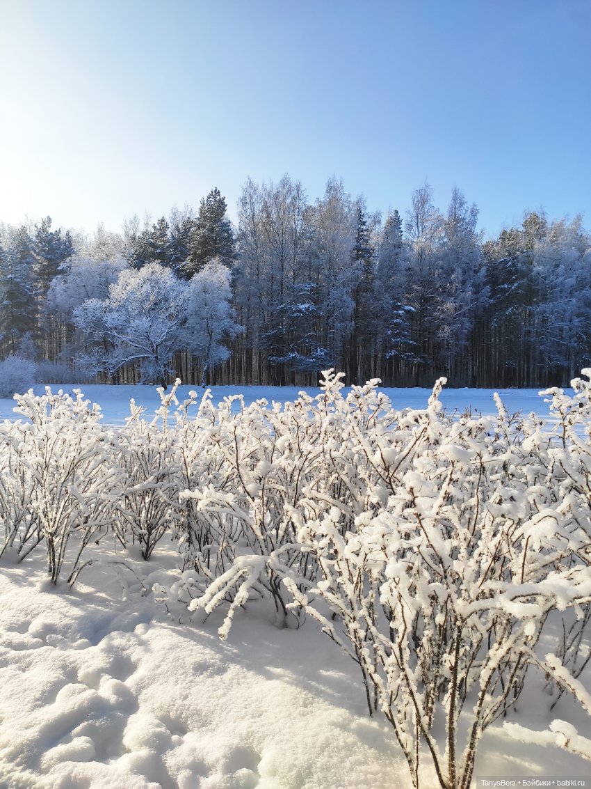 Пламя среди морозной стужи | Бэйбики Пламя среди морозной стужи