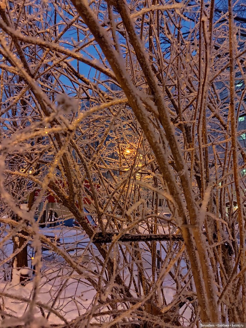 Пламя среди морозной стужи | Бэйбики Пламя среди морозной стужи