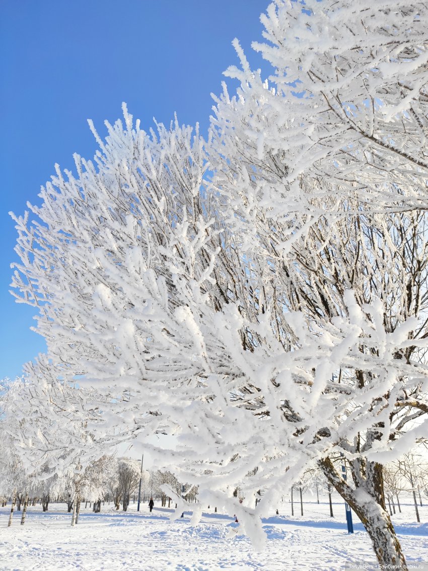 Пламя среди морозной стужи | Бэйбики Пламя среди морозной стужи