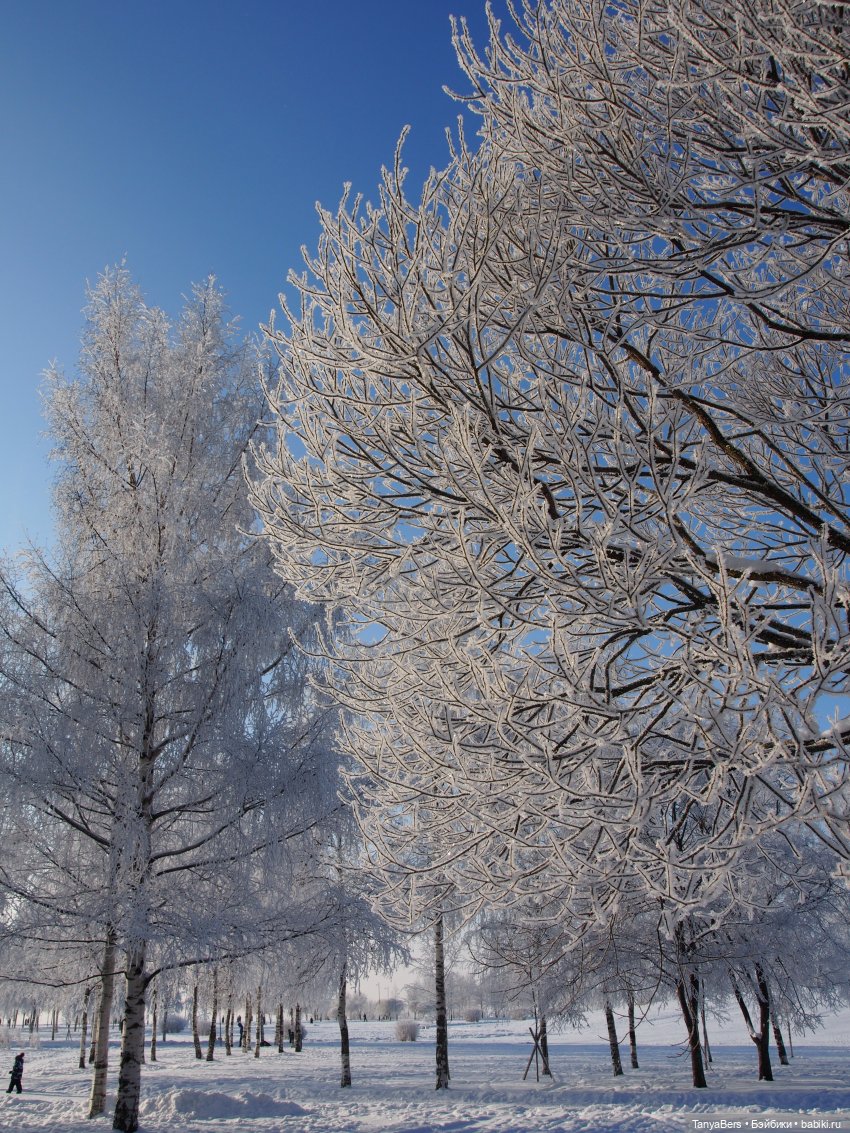 Пламя среди морозной стужи | Бэйбики Пламя среди морозной стужи (фото 10)