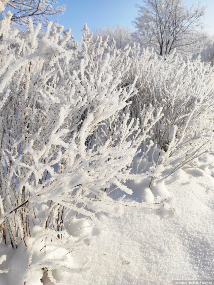 Пламя среди морозной стужи | Бэйбики Пламя среди морозной стужи (фото 8)